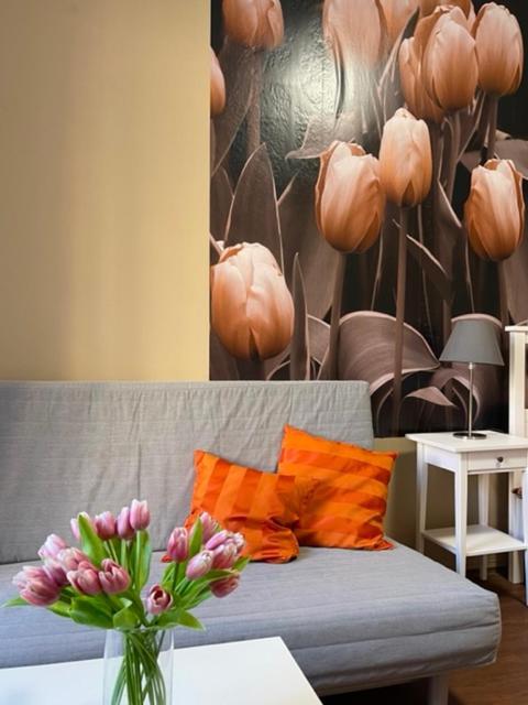 Apartman Galerie ジェチーン エクステリア 写真